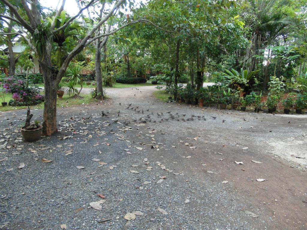 Baan Tai Rom Yen Resort Surat Thani Esterno foto